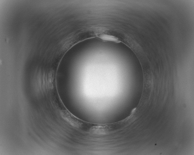 X0000080670082200612151208