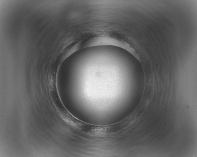 X0000080670084200612151208