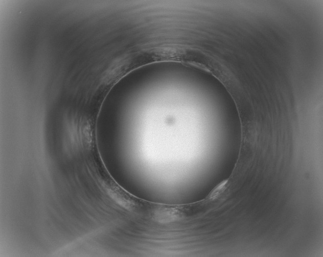 X0000080670086200612151208
