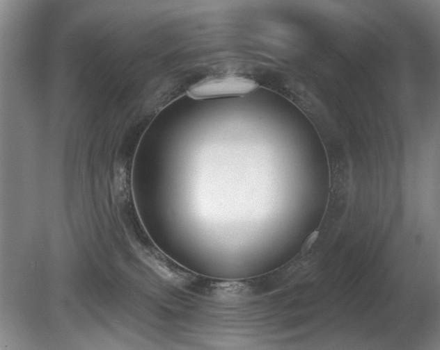 X0000080670087200612151208