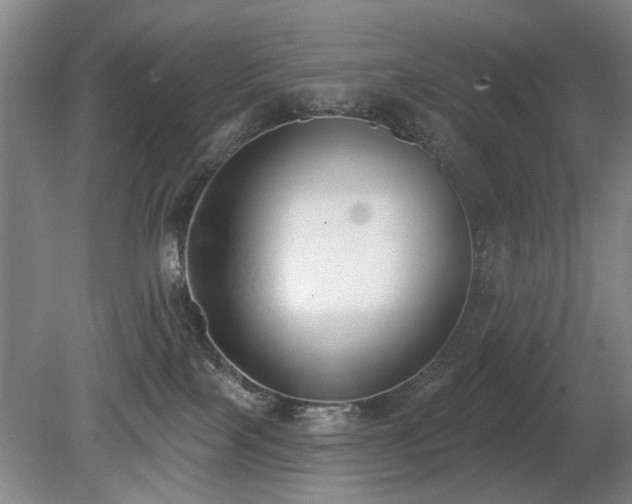 X0000080670089200612151208