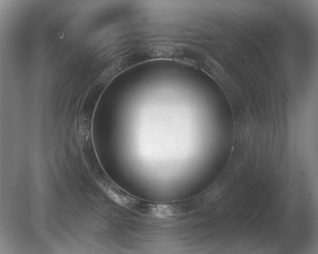X0000080670091200612151208
