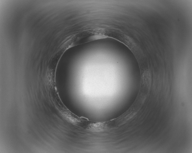 X0000080670092200612151208