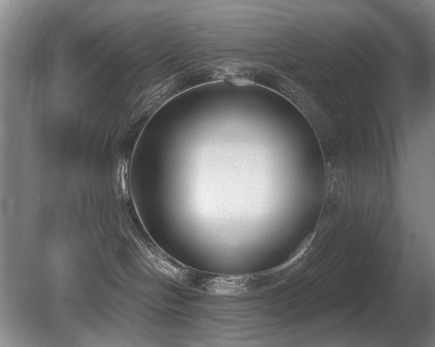 X0000080670094200612151208