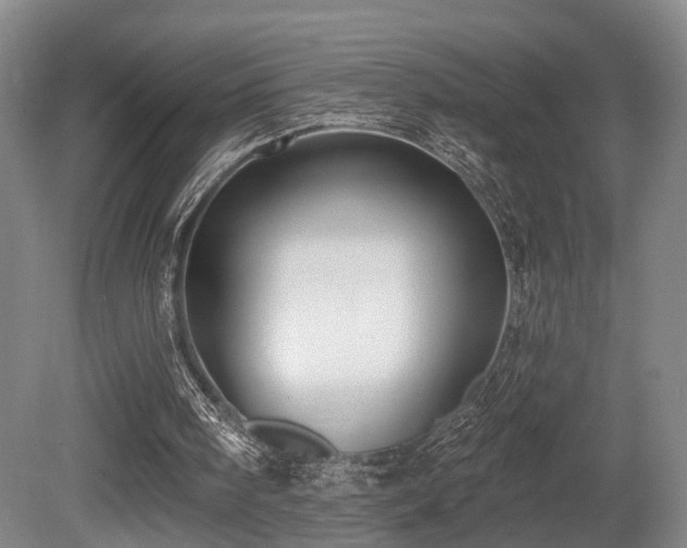 X0000080670098200612151207