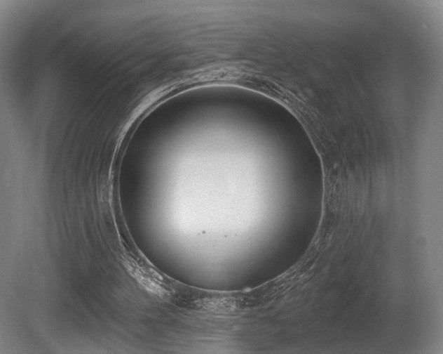 X0000080670100200612151207