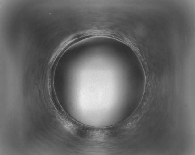 X0000080670103200612151207