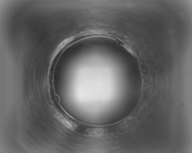 X0000080670104200612151207