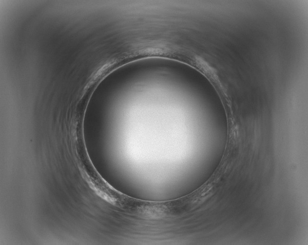 X0000080670106200612151207