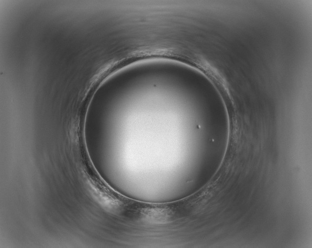 X0000080670107200612151207