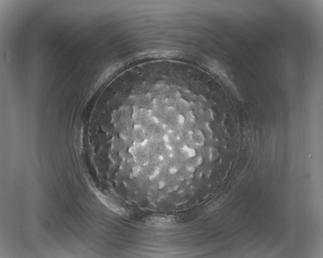 X0000080670110200612151207