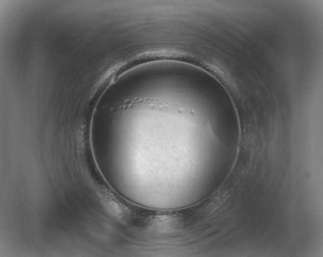 X0000080670111200612151207