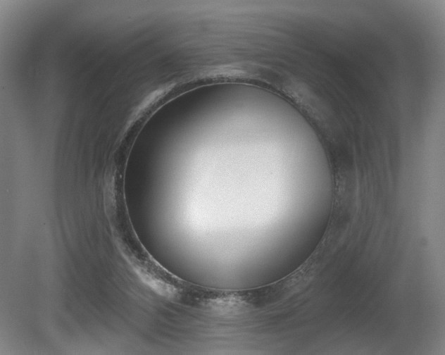 X0000080670112200612151207