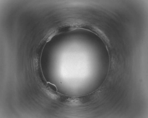 X0000080670113200612151207