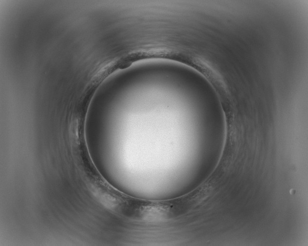 X0000080670115200612151207