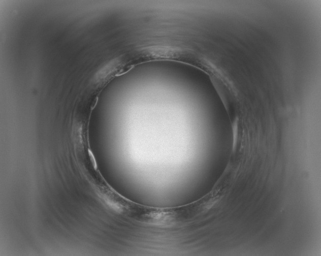 X0000080670117200612151207