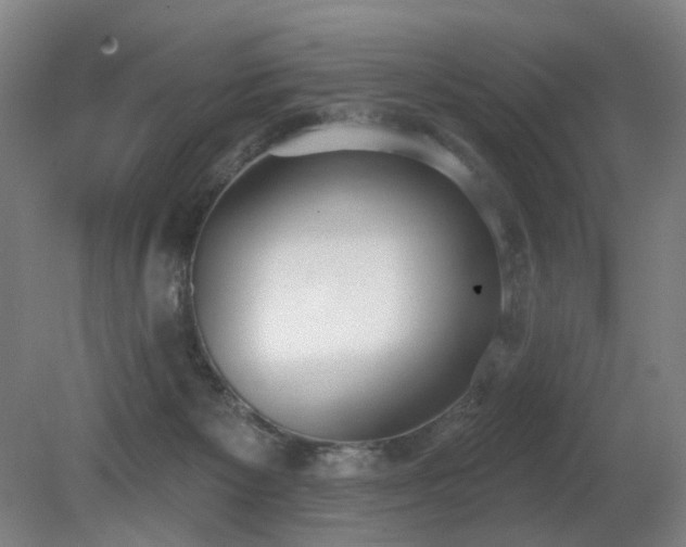 X0000080670125200612151207