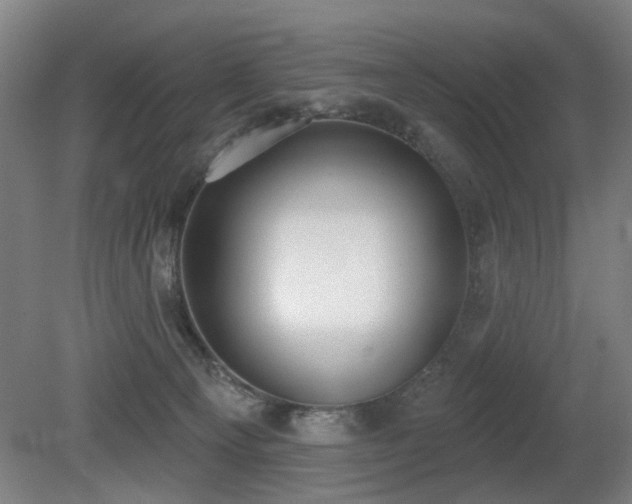 X0000080670129200612151207
