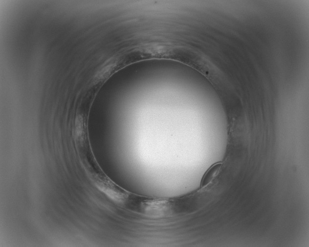 X0000080670132200612151207