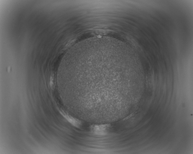 X0000080670134200612151207