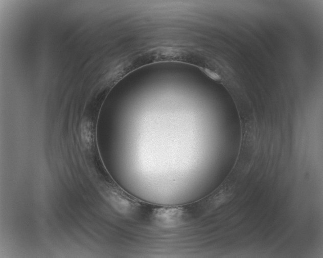 X0000080670135200612151207