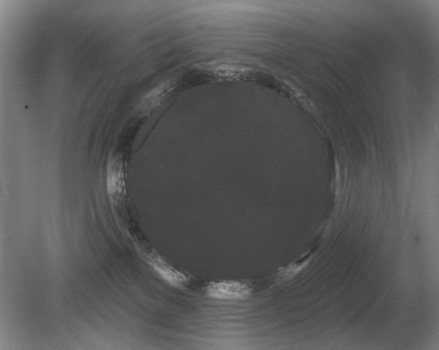 X0000080670137200612151206