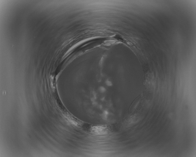 X0000080670139200612151206