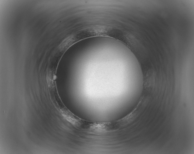 X0000080670140200612151206