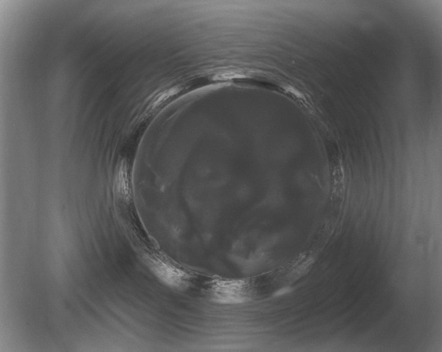 X0000080670143200612151206