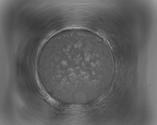 X0000080670145200612151206