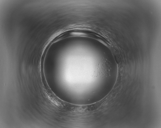 X0000080670148200612151206