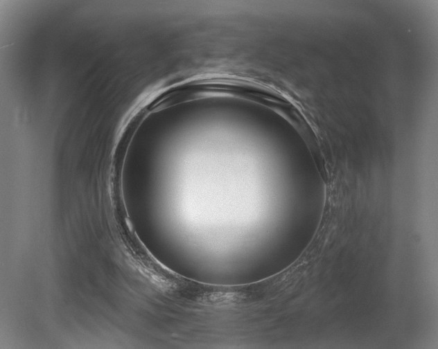 X0000080670152200612151206