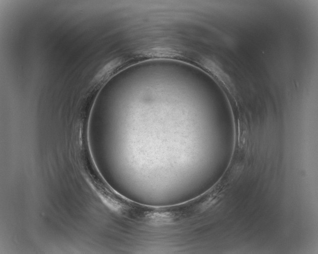X0000080670157200612151206