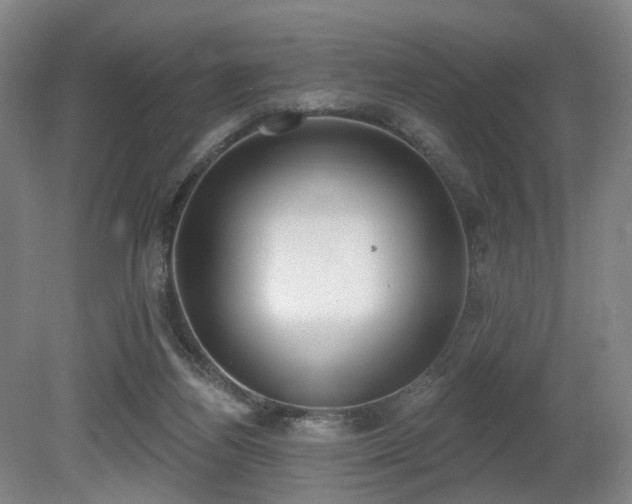 X0000080670164200612151206