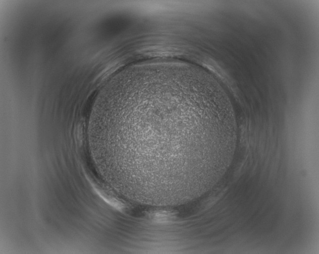 X0000080670165200612151206