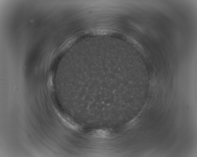 X0000080670166200612151206