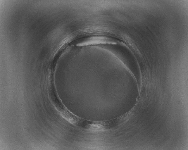 X0000080670167200612151206