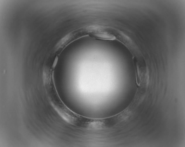 X0000080670168200612151206