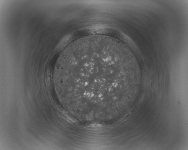 X0000080670169200612151206