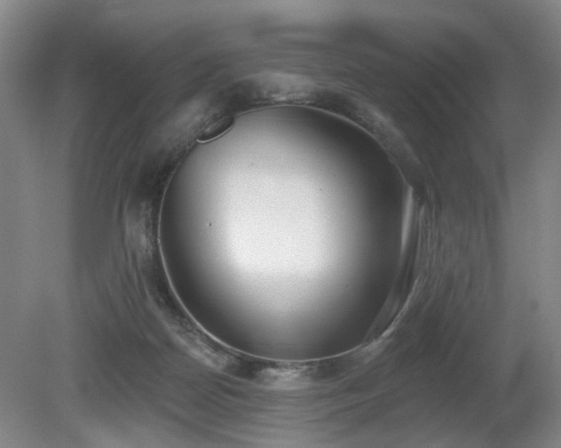 X0000080670170200612151206