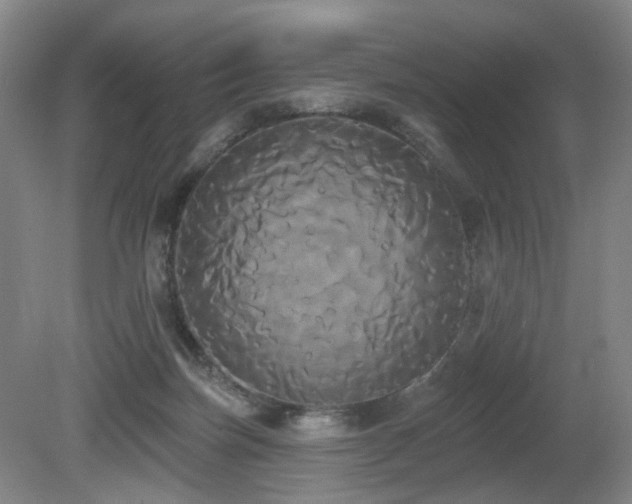 X0000080670171200612151206