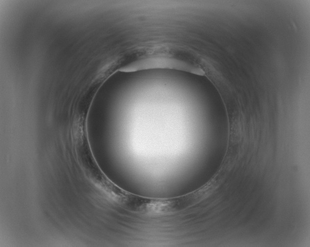 X0000080670172200612151206