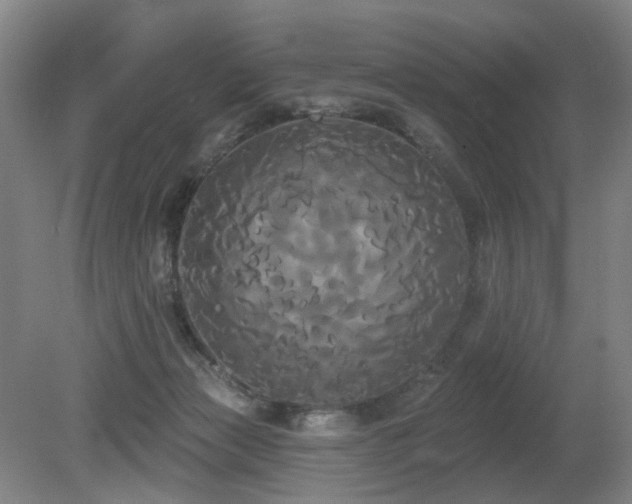 X0000080670173200612151206