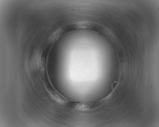 X0000080670174200612151206
