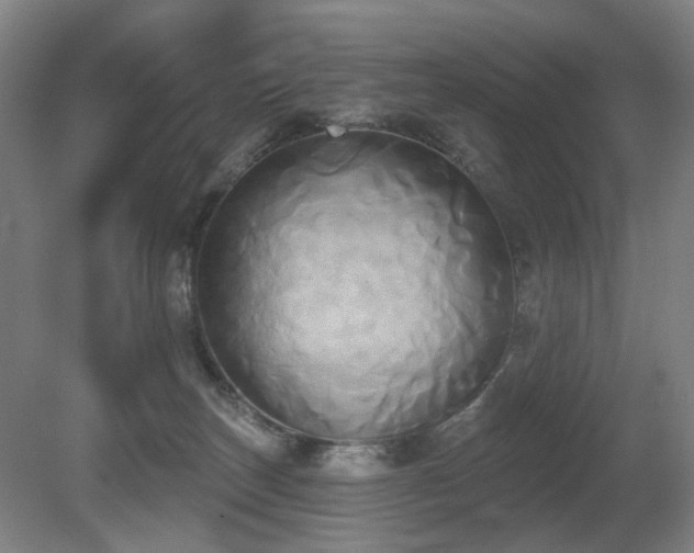 X0000080670179200612151206