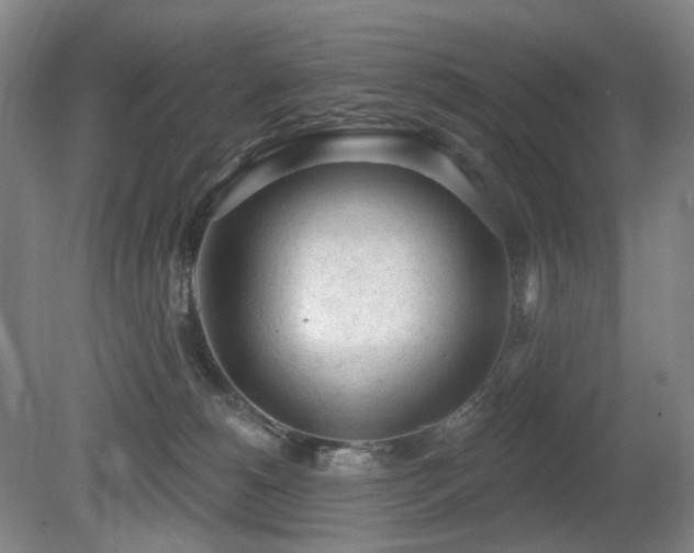 X0000080670180200612151206