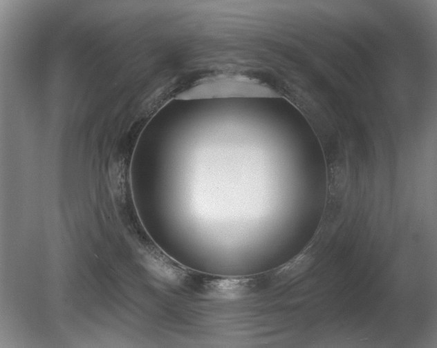 X0000080670184200612151206