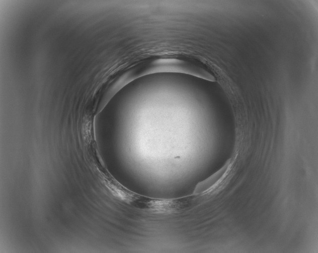X0000080670192200612151206