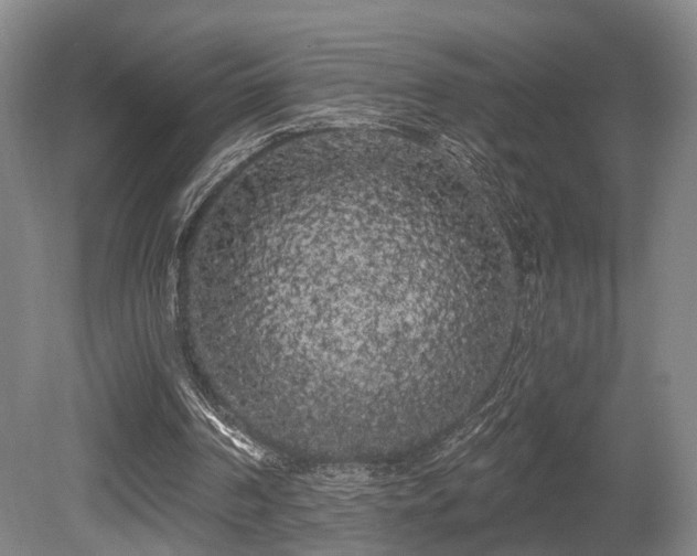 X0000080670194200612151206