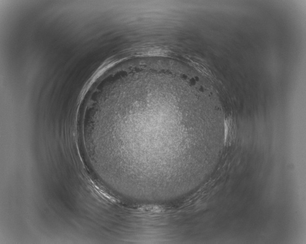 X0000080670195200612151206
